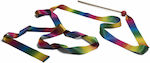 BS Toys Dance Ribbon Rhythmic Gymnastics Ribbon Multicolored