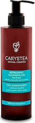 Carystea Refreshing Cleansing Gel 250ml