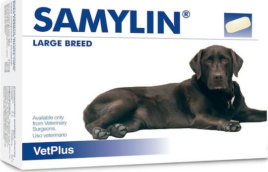 Vet Plus Samylin Large Breed Συμπλήρωμα Διατροφής Σκύλου σε Δισκία 30 tabs για Ενίσχυση Οργανισμού