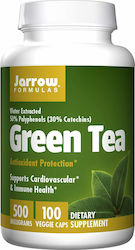 Jarrow Formulas Зелен Чай 500мг 100 Растителни Капсули Jarrow Formulas Зелен Чай 500мг 100 Растителни Капсули