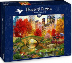 Central Park NYC Puzzle 2D 1000 Pieces