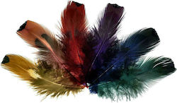 Meyco Craft Feathers 7.5cm Set of 24pcs
