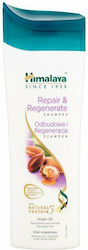 Himalaya Wellness Reparatur & Regeneration 400ml
