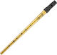 Clarke Tinwhistle Irish Metallic Recorder Sweet...