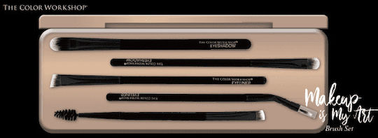 Wet n Wild Set with Makeup Brushes made of Synthetic Hair The Color Workshop Essentials Makeup Is My Art 5pcs