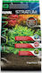 Fluval Stratum Aquarium Soils / Substrates Pflanzen und Garnelen 8kg 12695