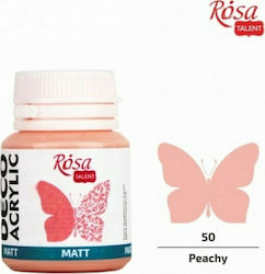 RosaGroup Talent Acrylic Paint Set in Pink color Matt Peachy 50 20ml 1pcs 20050