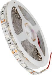 GloboStar Bandă LED Alimentare 12V cu Lumină Violet Lungime 5m și 60 LED-uri pe Metru SMD5050