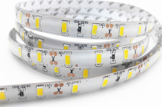 Evivak Waterproof LED Strip 12V Cold White Light 5m Type SMD5050