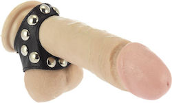 Rimba Leather Penis Strap with Studs Adjustable Cock Ring Schwanz & Hoden Leder Black