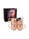 Navaris Moscow Mule Σετ Ποτήρια από Ανοξείδωτο Ατσάλι Ροζ 500ml 4τμχ