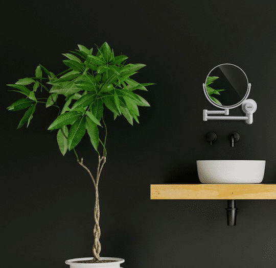Bathlux 30169 30169 Μεγεθυντικός Στρογγυλός από Πλαστικό 39.5x39.5cm Λευκός