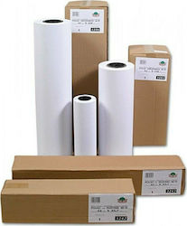 Typotrust Plotterpapierrollen 914mm x 120m