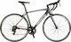 Orient Intro 1.0 28" 2021 Gray Gravel Bicycle With 14 Speeds