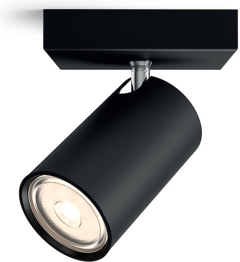 Philips myLiving Einzel Spot in Schwarz Farbe
