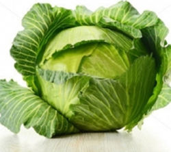 Seed Cabbage Banner F1(Sprout) 51 seeds - 85-day YB. Excellent quality cabbage weighing 3-4 kg, round and consistent, with dark green hard leaves. Stays for a long time in the field, high resistance to cracking and rotting