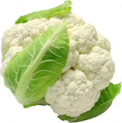 Cauliflower Seed F1 10 seeds- 70-80days YBW White, cohesive head 1-1,2kg for early autumn harvest