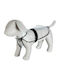 Trixie Tarbes Waterproof Dog Coat Transparent 60 x 52-76cm