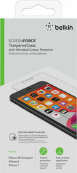 Belkin ScreenForce Screen Protector (iPhone 6 / 6s)