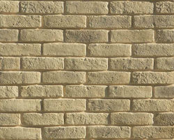 Algostone Verblendstein Ziegelstein Wandverkleidungssteine 20x5.5cm