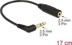 DeLock 65675 3.5mm Masculin În 2.5mm Feminin