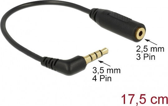DeLock Convertor 3.5mm Masculin În 2.5mm Feminin 1 Bucată 65673
