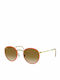 Ray Ban Round Metal Sunglasses with Red Metal Frame and Brown Gradient Lens RB3447 9196/51