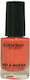 Deborah Milano Pret A Porter Gloss Nail Polish 62 Blooming Delight 4.5ml