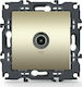 Aca Prime TV Antenna Socket Terminal in Gold co...
