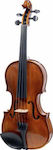 Stentor Student II SR1500 Violin 4/4