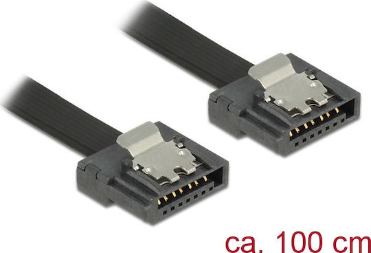 DeLock DeLock Festplattenkabel 7-Pin SATA III - 7-Pin SATA III Länge 100cm Schwarz 83843