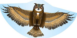 Gunther Folding Kite Owl Plastic with Twine 122x68cm