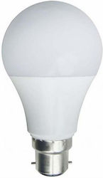 Eurolamp LED Lampen für Fassung B22 und Form A60 Kühles Weiß 1521lm 1Stück