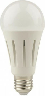 Eurolamp LED Bulbs for Socket E27 and Shape A60 Cool White 2800lm 1pcs