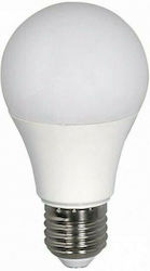 Eurolamp LED Lampen für Fassung E27 und Form A60 Warmes Weiß 1521lm 1Stück