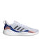 Fluidflow 2.0 Sport Shoes Training Cloud White / Core Black / Royal Blue