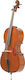 Stentor Student II Complete 3/4 Cellos With Case and Bow