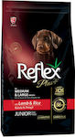 Reflex Plus Junior Medium/Large 15kg Ξηρά Τροφή για Κουτάβια Μεσαίων & Μεγαλόσωμων Φυλών με Αρνί και Ρύζι