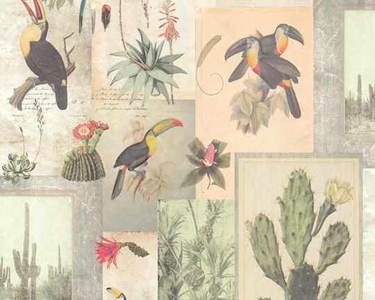 Wall Wallpaper Cacti - Toucan Vinyl 1000x53cm