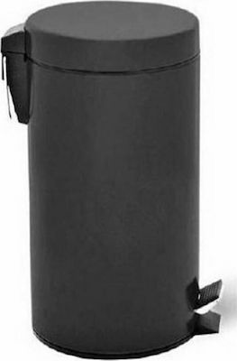 Delta Cleaning Metallic Waste Bin 30lt with Pedal Black