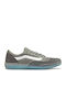 Vans Ave Pro Sneakers Gray