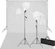 vidaXL Sistem de fundal & iluminare Fundal Fotografic Tesatura 300x600cm. Alb