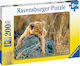 Kids Puzzle Little Lion for 8++ Years 200pcs Ravensburger