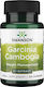 Swanson Garcinia Cambogia 5:1 Extract 60 caps