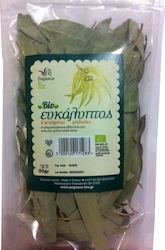 Pegasus Bio Eucalyptus Organic Product 30gr