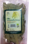 Pegasus Bio Eucalyptus Organic Product 30gr