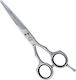 Eurostil Evolute Hair Cutting Trimming Scissor 5.5"