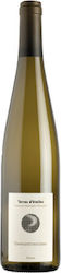 Domaine Mittnacht Freres Weiß Trocken 750ml Domaine Mittnacht Freres Weiß Trocken 750ml