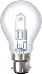 Aca Halogen Lamp B22 100W