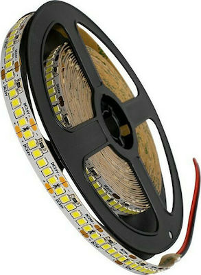 GloboStar LED Strip Power Supply 12V with Cold White Light Length 5m and 240 LEDs per Meter SMD2835